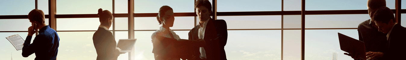 SAI - hybride Unternehmensberatung